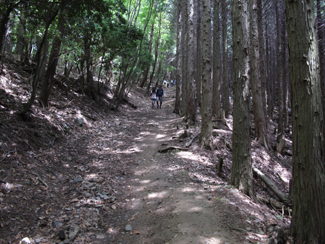 20140524hike (68)